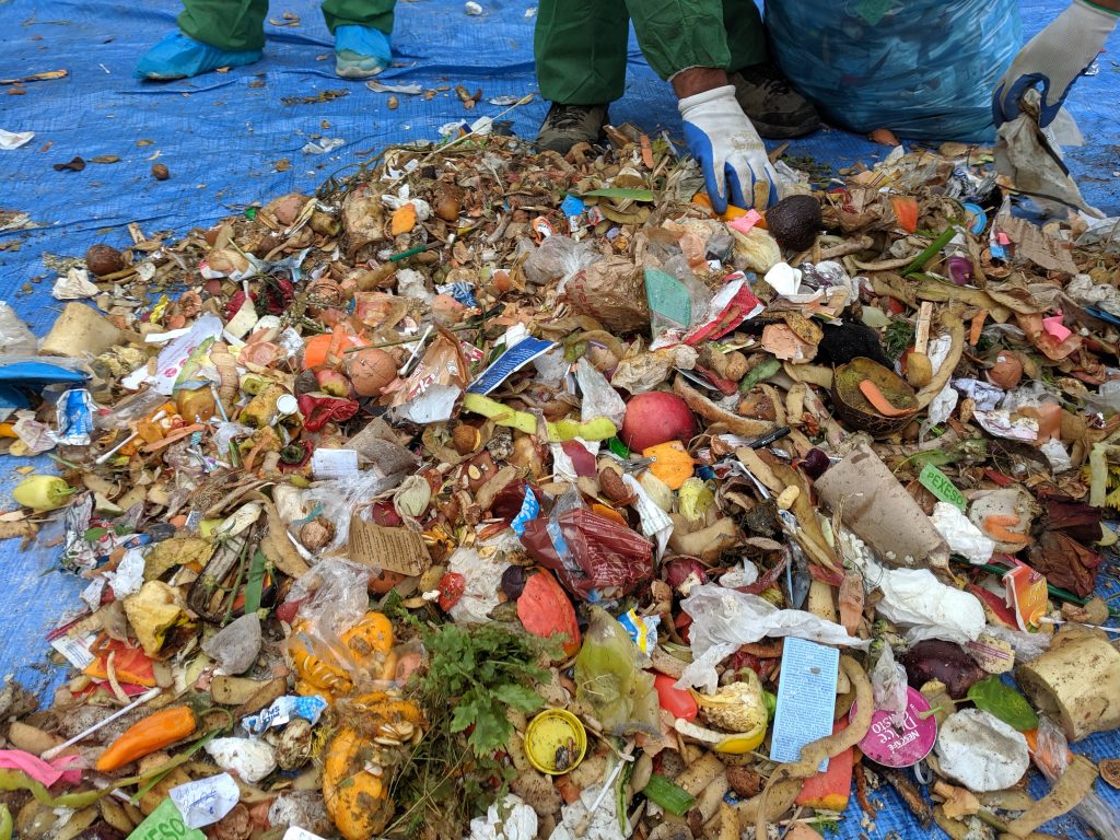 analýza odpadu, bioodpad v nádobách na smeti