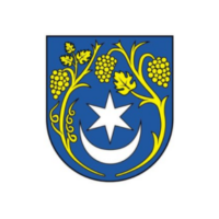 Slovenské mestá bojujú o väčšiu udržateľnosť