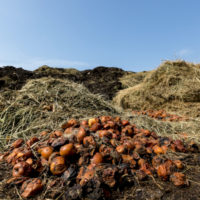 Kompostární je na Slovensku málo, kvalita kompostu je často nízka